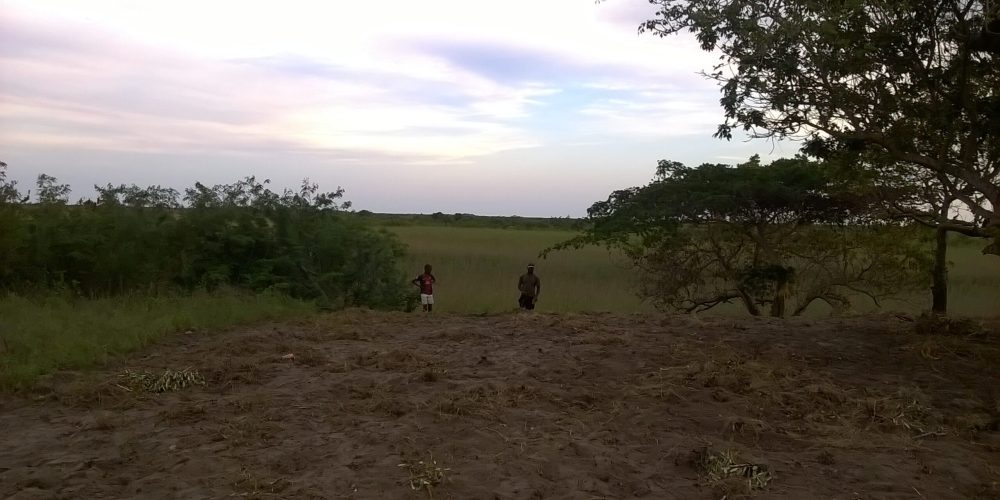 WP_20151121_17_49_48_Pro