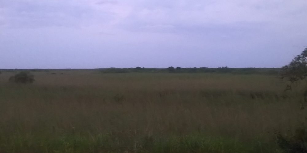 WP_20151128_18_26_21_Pro