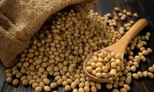 ingredientes-de-soja-aplicacoes-na-industria