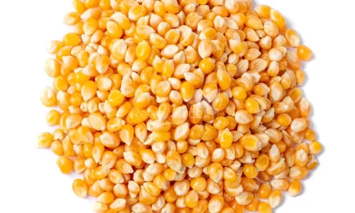 milho-pipoca-premium-secundaria-relva-verde-500g